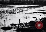 Image of Barbed wire placed by Germans in Ancre River marshes  France, 1916, second 54 stock footage video 65675028138