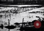 Image of Barbed wire placed by Germans in Ancre River marshes  France, 1916, second 56 stock footage video 65675028138