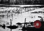 Image of Barbed wire placed by Germans in Ancre River marshes  France, 1916, second 57 stock footage video 65675028138