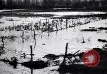 Image of Barbed wire placed by Germans in Ancre River marshes  France, 1916, second 58 stock footage video 65675028138