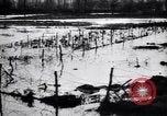 Image of Barbed wire placed by Germans in Ancre River marshes  France, 1916, second 59 stock footage video 65675028138