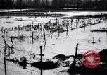 Image of Barbed wire placed by Germans in Ancre River marshes  France, 1916, second 60 stock footage video 65675028138