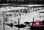 Image of Barbed wire placed by Germans in Ancre River marshes  France, 1916, second 61 stock footage video 65675028138