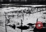 Image of Barbed wire placed by Germans in Ancre River marshes  France, 1916, second 62 stock footage video 65675028138