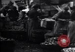Standbild britischen Frauen arbeiten in Dundee Marmalade factory London England Vereinigtes Königreich, 1914, aus Sekunde 35 historischem Filmmaterial Videoclip 65675028147