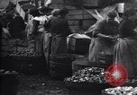Standbild britischen Frauen arbeiten in Dundee Marmalade factory London England Vereinigtes Königreich, 1914, aus Sekunde 36 historischem Filmmaterial Videoclip 65675028147