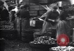 Standbild britischen Frauen arbeiten in Dundee Marmalade factory London England Vereinigtes Königreich, 1914, aus Sekunde 37 historischem Filmmaterial Videoclip 65675028147
