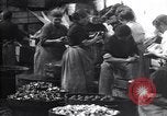 Standbild britischen Frauen arbeiten in Dundee Marmalade factory London England Vereinigtes Königreich, 1914, aus Sekunde 42 historischem Filmmaterial Videoclip 65675028147