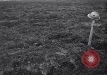 Image of Battle of Somme battlefield at Maurepas France, 1916, second 50 stock footage video 65675028157