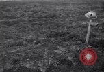 Image of Battle of Somme battlefield at Maurepas France, 1916, second 51 stock footage video 65675028157