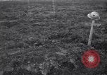 Image of Battle of Somme battlefield at Maurepas France, 1916, second 53 stock footage video 65675028157