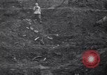 Image of World War I devastation near Esnes Esnes France, 1917, second 20 stock footage video 65675028158