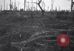 Image of World War I devastation near Esnes Esnes France, 1917, second 30 stock footage video 65675028158