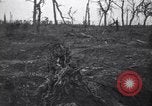 Image of World War I devastation near Esnes Esnes France, 1917, second 36 stock footage video 65675028158