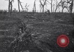 Image of World War I devastation near Esnes Esnes France, 1917, second 37 stock footage video 65675028158