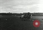 Image Cowboys Las Vegas New Mexico USA, 1926, de la seconde 45 séquences d'archives historiques vidéo 65675028161
