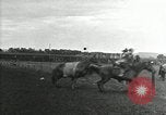 Image Cowboys Las Vegas New Mexico USA, 1926, de la seconde 58 séquences d'archives historiques vidéo 65675028161