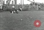 Immagine di I cowboys Las Vegas New Mexico USA, 1926, secondo 19 filmato di repertorio 65675028162