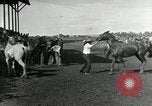 Image Cowboys Las Vegas New Mexico USA, 1926, de la seconde 4 séquences d'archives historiques vidéo 65675028164