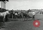 Image Cowboys Las Vegas New Mexico USA, 1926, de la seconde 6 séquences d'archives historiques vidéo 65675028164