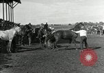 Image Cowboys Las Vegas New Mexico USA, 1926, de la seconde 7 séquences d'archives historiques vidéo 65675028164