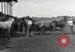 Image Cowboys Las Vegas New Mexico USA, 1926, de la seconde 9 séquences d'archives historiques vidéo 65675028164