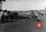 Image Cowboys Las Vegas New Mexico USA, 1926, de la seconde 12 séquences d'archives historiques vidéo 65675028164