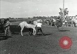 Image Cowboys Las Vegas New Mexico USA, 1926, de la seconde 20 séquences d'archives historiques vidéo 65675028164