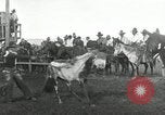 Image of Cowboys Las Vegas New Mexico USA, 1926, second 10 stock footage video 65675028166