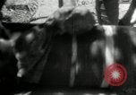 Image of Japanese troops capture Corregidor Corregidor Island Philippines, 1943, second 32 stock footage video 65675028168
