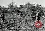 Image of United States troops Philippines, 1945, second 14 stock footage video 65675028171