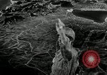 Image of United States troops Manila Philippines, 1945, second 4 stock footage video 65675028172