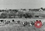 Standbild Rinderfarmen Texas United States USA, 1942, aus Sekunde 1 historischem Filmmaterial Videoclip 65675028175