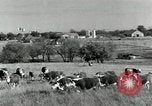 Standbild Rinderfarmen Texas United States USA, 1942, aus Sekunde 3 historischem Filmmaterial Videoclip 65675028175