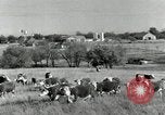 Standbild Rinderfarmen Texas United States USA, 1942, aus Sekunde 4 historischem Filmmaterial Videoclip 65675028175