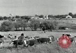 Standbild Rinderfarmen Texas United States USA, 1942, aus Sekunde 5 historischem Filmmaterial Videoclip 65675028175