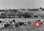 Standbild Rinderfarmen Texas United States USA, 1942, aus Sekunde 6 historischem Filmmaterial Videoclip 65675028175