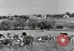 Standbild Rinderfarmen Texas United States USA, 1942, aus Sekunde 7 historischem Filmmaterial Videoclip 65675028175
