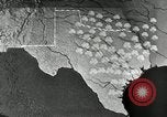Standbild Rinderfarmen Texas United States USA, 1942, aus Sekunde 13 historischem Filmmaterial Videoclip 65675028175