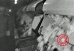 Standbild Rinderfarmen Texas United States USA, 1942, aus Sekunde 19 historischem Filmmaterial Videoclip 65675028175