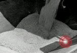 Standbild Reis Farm Texas United States USA, 1942, aus Sekunde 9 historischem Filmmaterial Videoclip 65675028176