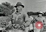 Standbild Reis Farm Texas United States USA, 1942, aus Sekunde 17 historischem Filmmaterial Videoclip 65675028176