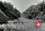 Standbild Reis Farm Texas United States USA, 1942, aus Sekunde 21 historischem Filmmaterial Videoclip 65675028176
