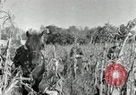 Standbild Reis Farm Texas United States USA, 1942, aus Sekunde 36 historischem Filmmaterial Videoclip 65675028176