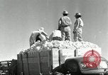 Standbild Reis Farm Texas United States USA, 1942, aus Sekunde 42 historischem Filmmaterial Videoclip 65675028176