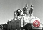 Standbild Reis Farm Texas United States USA, 1942, aus Sekunde 43 historischem Filmmaterial Videoclip 65675028176