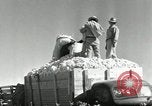 Standbild Reis Farm Texas United States USA, 1942, aus Sekunde 44 historischem Filmmaterial Videoclip 65675028176