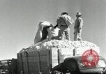 Standbild Reis Farm Texas United States USA, 1942, aus Sekunde 45 historischem Filmmaterial Videoclip 65675028176