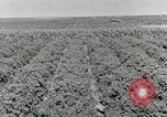 Image of downtown Forth Worth Texas early 1940s Texas United States USA, 1942, second 38 stock footage video 65675028178
