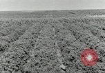 Image of downtown Forth Worth Texas early 1940s Texas United States USA, 1942, second 39 stock footage video 65675028178